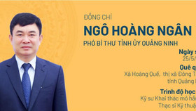 Phó bí thư Tỉnh ủy Quảng Ninh làm Chủ tịch Hội đồng thành viên Tập đoàn Than - Khoáng sản Việt Nam