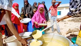 IMF dự báo gia tăng khủng hoảng lương thực toàn cầu