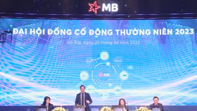 Cổ đông MB: Ngân hàng dường như đang “yêu” Novaland