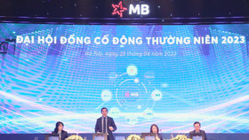 Cổ đông MB: Ngân hàng dường như đang “yêu” Novaland