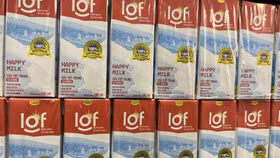 Sữa Quốc tế chào bán 2,4 triệu cổ phiếu riêng lẻ để lấy tiền trả nợ