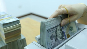 Tỷ giá USD hôm nay ngày 19/11: Ngân hàng đẩy mạnh mua vào, chợ đen quay đầu giảm