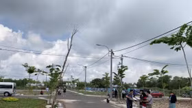 TP. Hà Nội ra thông báo đấu giá 138 thửa đất