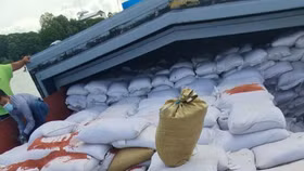 Đề nghị khởi tố vụ phân bón xuất khẩu nghi bị làm giả của Công ty Ba Trái Dâu