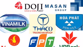 Trường Hải, Vinamilk, Hòa Phát, DOJI... lọt Top 10 công ty tư nhân lớn nhất Việt Nam 2016