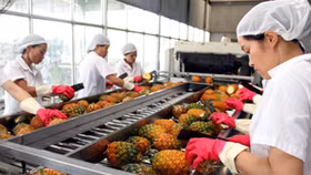 Xuất khẩu rau quả có thể đem về cho Việt Nam 5 tỷ USD