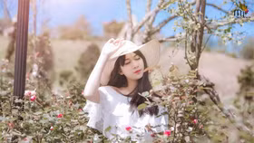 Thánh địa hoa hồng Sa Pa đón nhận kỷ lục thung lũng hoa hồng lớn nhất Việt Nam