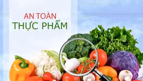 Phát triển hệ thống phân phối thực phẩm an toàn: Vô vàn khó khăn!