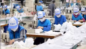 Vinatex muốn thoái vốn tại 5 công ty con