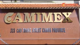 Hơn 11 triệu cổ phiếu Camimex Group lên sàn HoSE từ ngày 13/9