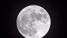 Nghệ sĩ Jeff Koons sẽ phóng tác phẩm điêu khắc của mình lên bề mặt mặt trăng