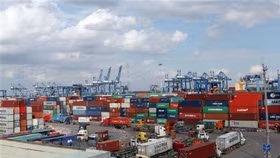 Phó Thủ tướng yêu cầu xử lý tình trạng tăng giá thuê tàu và container