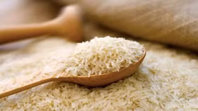 8 tháng đầu năm 2020, xuất siêu nông nghiệp tăng nhẹ dù ảnh hưởng dịch Covid-19