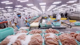 Nhiều "ông lớn" được bình chọn là doanh nghiệp xuất khẩu uy tín năm 2019