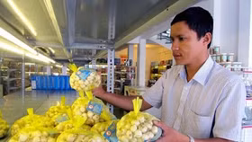 “Vua tỏi” Lý Sơn Nguyễn Văn Định: Làm gì cũng phải công chính, có tâm