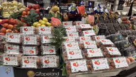 Bắt đầu xuất khẩu sang Thái Lan, vải thiều Việt Nam chiếm ưu thế ngay tại “sân khách”