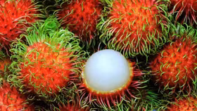 9 lô hàng bị cảnh báo, 3 lô hàng bị tiêu hủy tại châu Âu