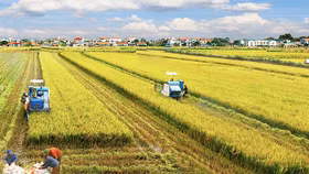Sau nghiên cứu, Quốc hội đồng ý kéo dài miễn thuế sử dụng đất nông nghiệp đến hết năm 2025