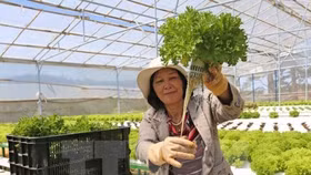 Nhiều doanh nghiệp Nhật sẽ đầu tư vào nông nghiệp công nghệ cao tại Việt Nam