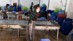 Thu giữ lượng lớn chân gà không rõ nguồn gốc đã bốc mùi chuẩn bị được đưa đi tiêu thụ