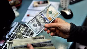 Tỷ giá ngoại tệ ngày 6/7: Đồng USD tăng cao kỷ lục 20 năm qua