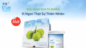 Thưởng thức vị ngon đặc biệt của sữa chua dừa tự nhiên đầu tiên ở Việt Nam