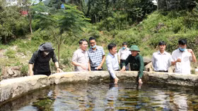 Lâm Đồng: Chấm dứt hoạt động Dự án Khu Du lịch sinh thái suối khoáng nóng Sài Gòn Đam Rông