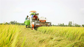 Thủ tướng đồng ý Tiền Giang, Hậu Giang được chuyển mục đích hơn 86ha đất trồng lúa