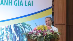 Lợi nhuận Hoàng Anh Gia Lai "bốc hơi" 118 tỷ đồng sau soát xét