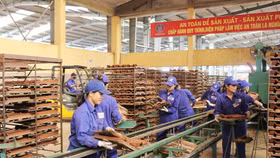 Viglacera Hạ Long sắp trả cổ tức "khủng" hơn 93% bằng tiền