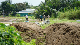 Cần Thơ: Xử lý triệt để tình trạng xây dựng trái phép trên đất nông nghiệp