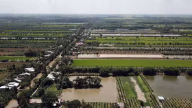 Agribank rao bán khoản nợ gần 350 tỷ đồng của Nông trường Sông Hậu