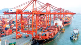 Cổ phiếu PHP của Cảng Hải Phòng sẽ giao dịch trên UPCoM từ ngày 14/9