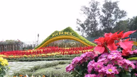 Ngắm nhìn Núi Bà Tây Ninh đẹp vi diệu những ngày đầu xuân