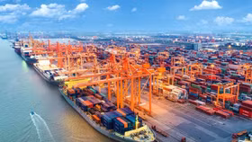 Cổ phiếu vận tải biển: Phục hồi khi vẫn ngập trong khó khăn