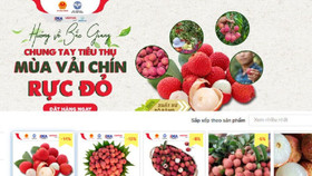 6 sàn thương mại điện tử lớn đồng loạt mở bán vải thiều Bắc Giang