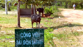 500 dự án treo không nhúc nhích tại TP.HCM