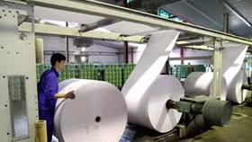 Tổng công ty Giấy: Đầu tư 3000 tỷ đồng rồi chờ...thanh lý!