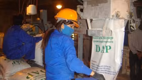 DDV lại lỗ nặng, QBS có tiếp tục “ngậm đắng”?