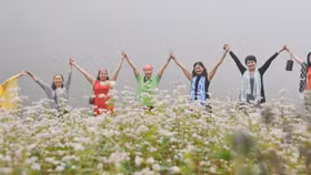 Tình yêu từ một chuyến đi