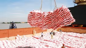 Bãi bỏ Quy hoạch thương nhân kinh doanh xuất khẩu gạo