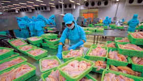 Hùng Vương nói gì về khoản lỗ ròng sau kiểm toán?