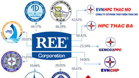 Không kèn trống nhưng REE đã chi hơn 1,232 tỷ đồng để làm M&A trong năm 2016