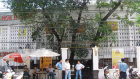 Habeco quản lý khối tài sản đất vàng đồ sộ