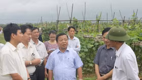 Ông Võ Kim Cự không còn tư cách đại biểu Quốc hội