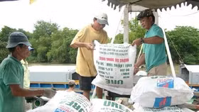 Doanh nghiệp phân bón xin nộp thuế VAT đầu ra