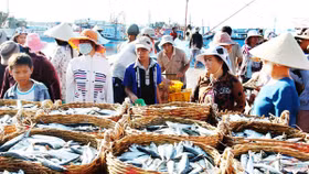 Bộ Công Thương hỗ trợ tiêu thụ thuỷ sản an toàn tại Huế