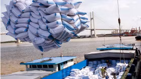 Xuất khẩu gạo khó đạt mục tiêu