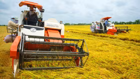 Gỡ khó để hút đầu tư vào nông nghiệp