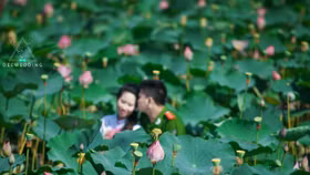 Bộ ảnh cưới lãng mạn giữa anh Công an và chị Giáo viên